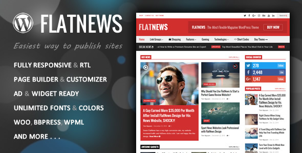 FlatNews WordPress theme preview.