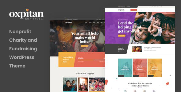 Charity website theme preview.