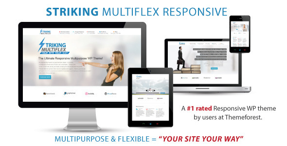 Responsive website theme display.