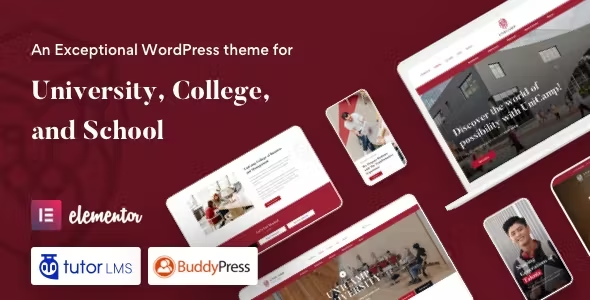 WordPress theme for education.